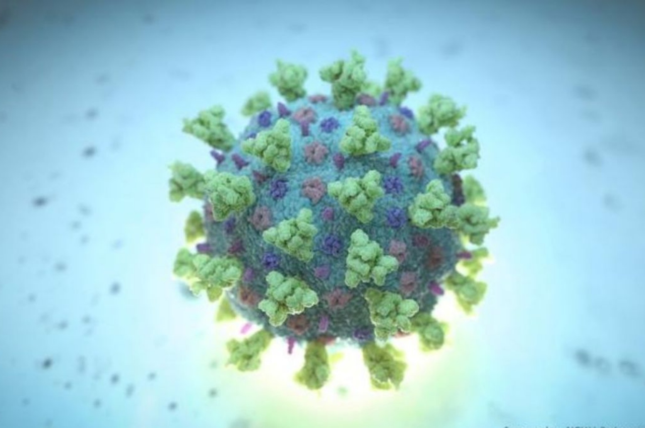 H3N2 Virus 1