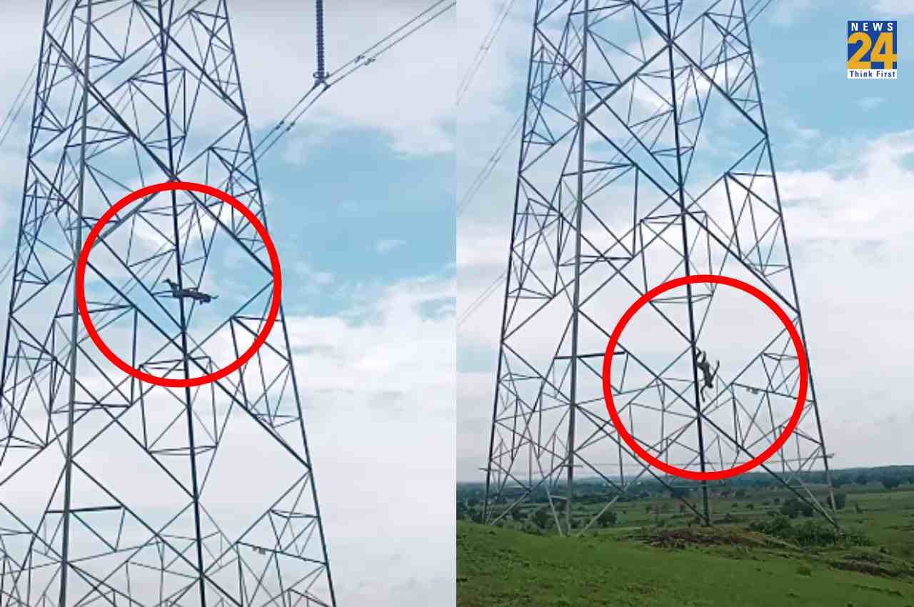 Watch: पत्नी मायके से नहीं लौटी तो हाईटेंशन टॉवर पर चढ़ा युवक, 60 फीट ऊंचाई से गिरा, देखें दिल दहला देने वाला Video