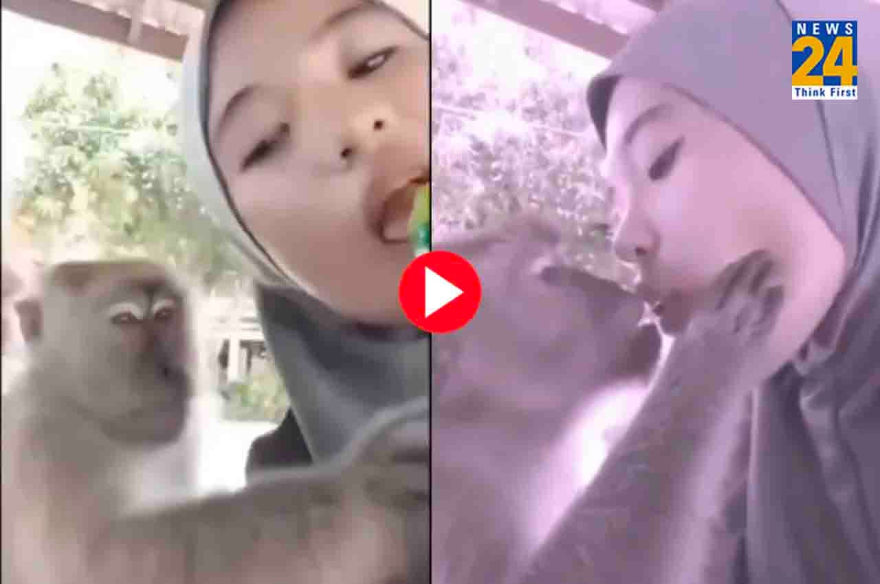 Viral Video: लड़की देखते ही बंदर ने खोया आपा, सरेआम कर दी किस