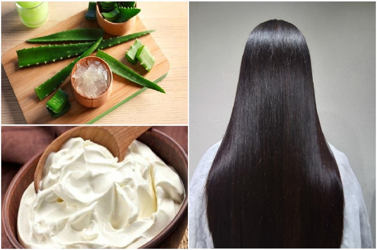 How To Get Silky and Shiny Hair: सिल्की और शाइनी बालों पाने के लिए लगाएं दही हेयर स्पा क्रीम, जानें विधि