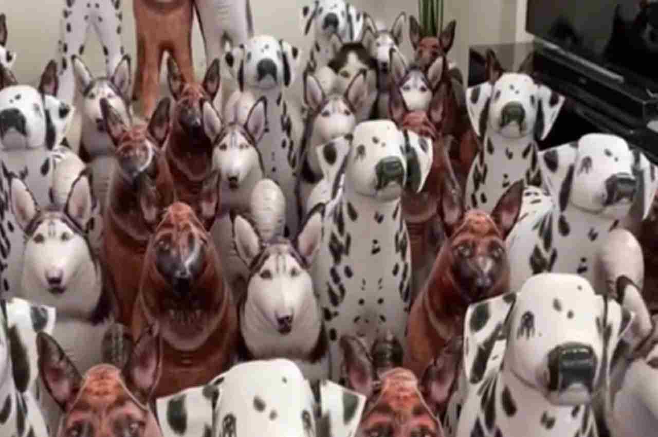 Optical Illusion: 10 सेकंड में खोज निकालिए तस्वीर में से असली कुत्ते को, आपको दिखा क्या?
