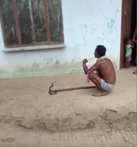 Viral Video: सांप के साथ वीडियो बना रहा था युवा, अचानक जो हुआ उसे देख हिल जाएंगे आप