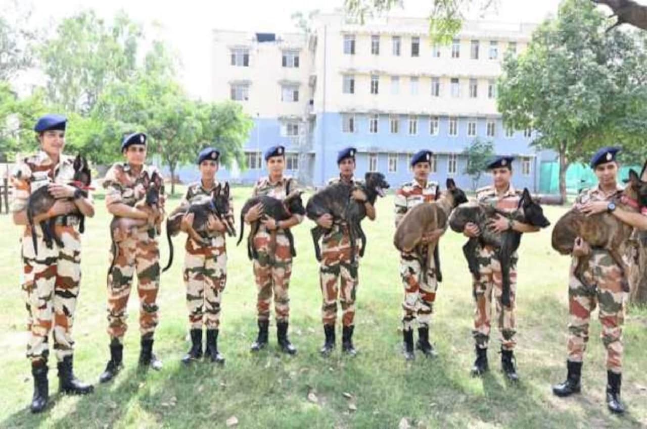 ITBP Recruitment 2022: 12वीं पास के लिए आईटीबीपी में एसआई पदों पर निकली वैकेंसी, इस दिन से करें अप्लाई