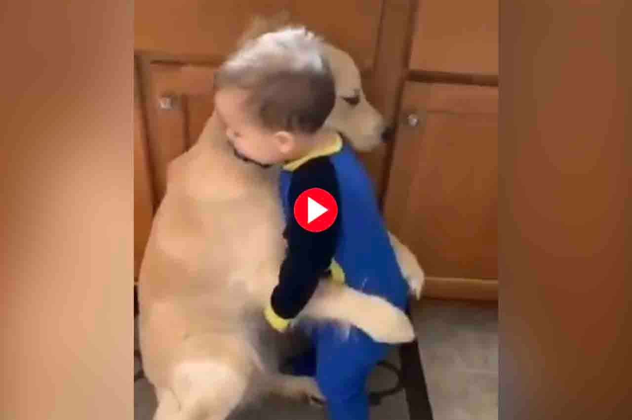 Viral Video: बच्चे और डॉगी के बीच का प्यार देख लोगों की आंखें हुई नम, आप भी देखें ये दिल छू लेने वाला वीडियो
