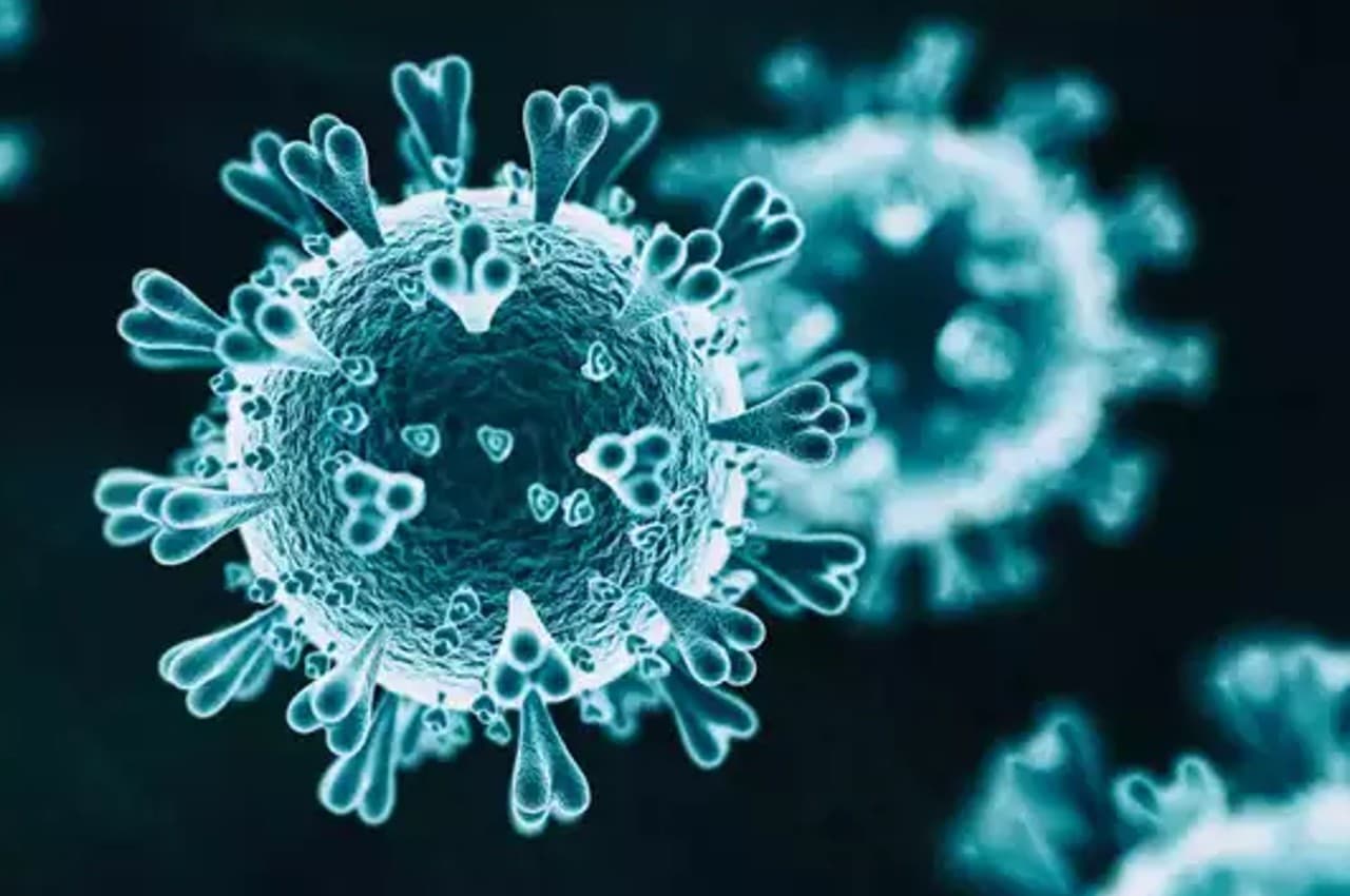 Langya Virus China: चीन ने फिर बढ़ाई टेंशन, नए Langya वायरस से 30 से ज्यादा लोग संक्रमित