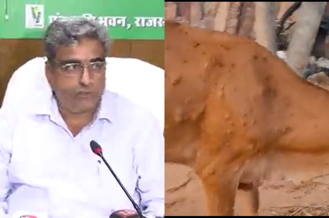 गोवंश में फैले 'लंपी वायरस' को लेकर पशुपालन मंत्री लालचंद कटारिया ने की समीक्षा बैठक, कहा- बीमारी वाकई ही खतरनाक है