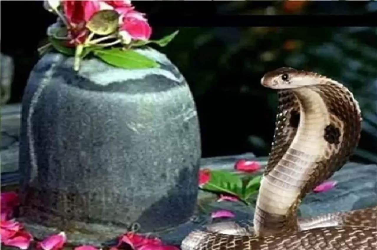 Nag Panchami 2022: आखिर क्यों मनाया जाता है नाग पंचमी का त्योहार? जानिए पौराणिक कथाएं
