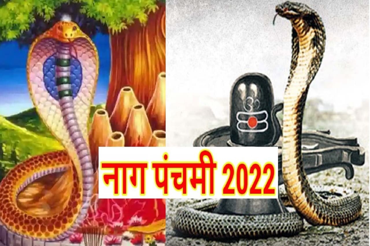Nag Panchami 2022: नाग पंचमी आज, यहां जानें- शुभ मुहूर्त, पूजन विधि समेत तमाम जानकारी