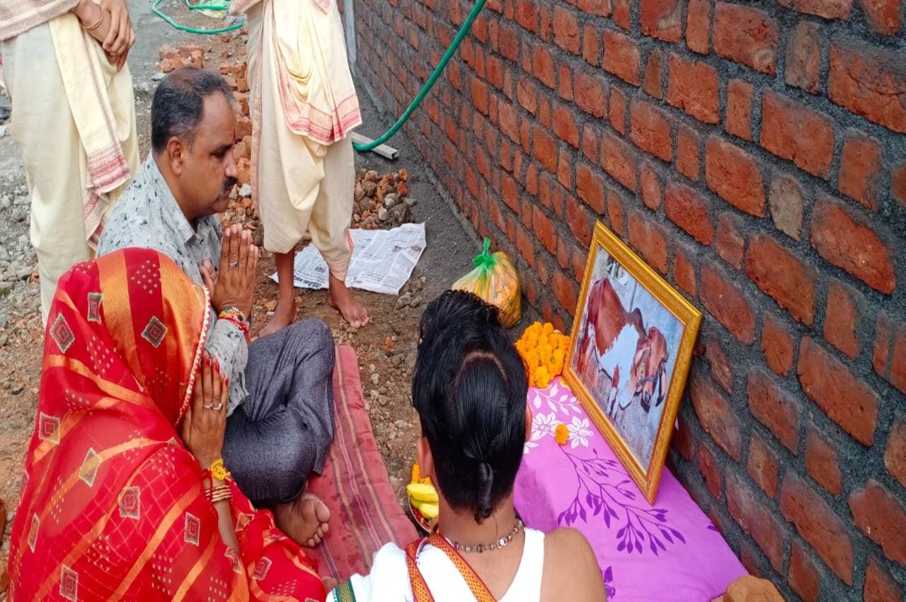 MP: नहीं देखा होगा 'गौभक्त का ऐसा प्रेम', गाय की मृत्यु पर 1100 ब्राह्मणों को कराया भोज