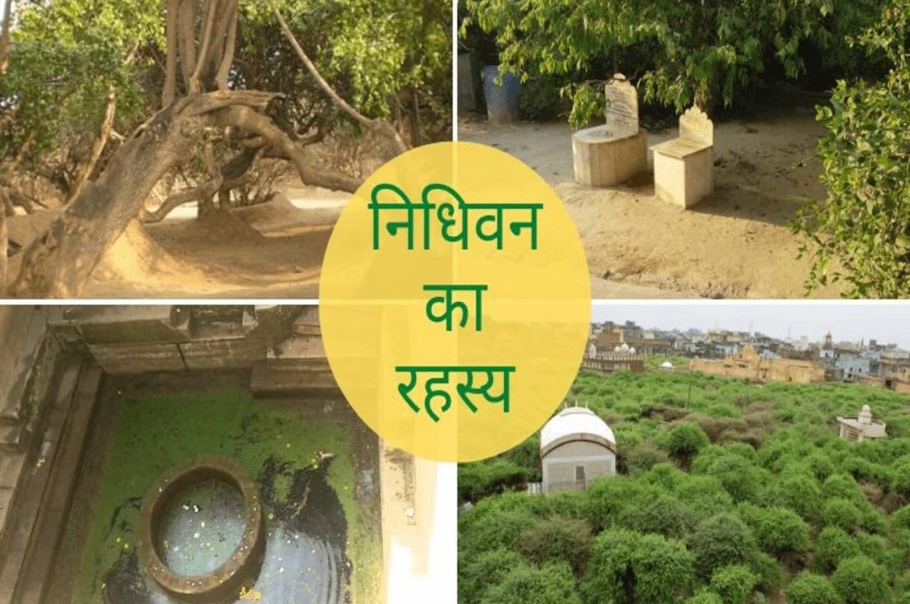 Janmashtami 2022: निधिवन में जिसने भी राधा-कृष्ण को आते-जाते देखा हो गया पागल! जानें सच्चाई