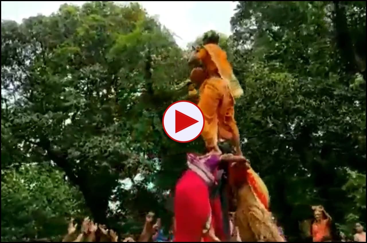 Viral Video: 'गोविंदा' बनी दादी ने पलक झपकते ही सिर से फोड़ी मटकी, फुर्ती और हिम्मत के नेटिजन्स दीवाने