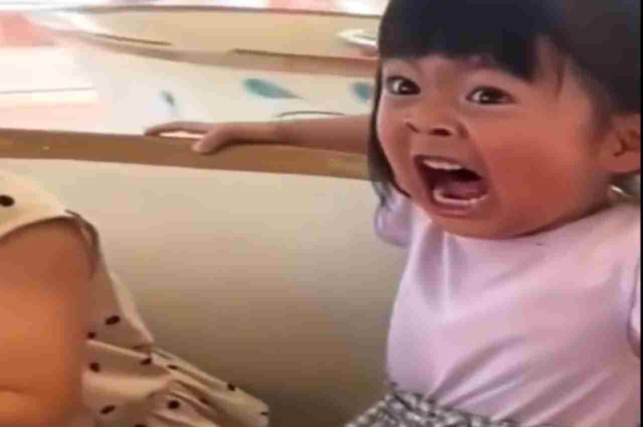 Viral Video: झूले पर बैठ बच्ची के उड़े होश, बनाई ऐसी अतरंगी शक्ल, देख नहीं रोक पाएंगे हंसी