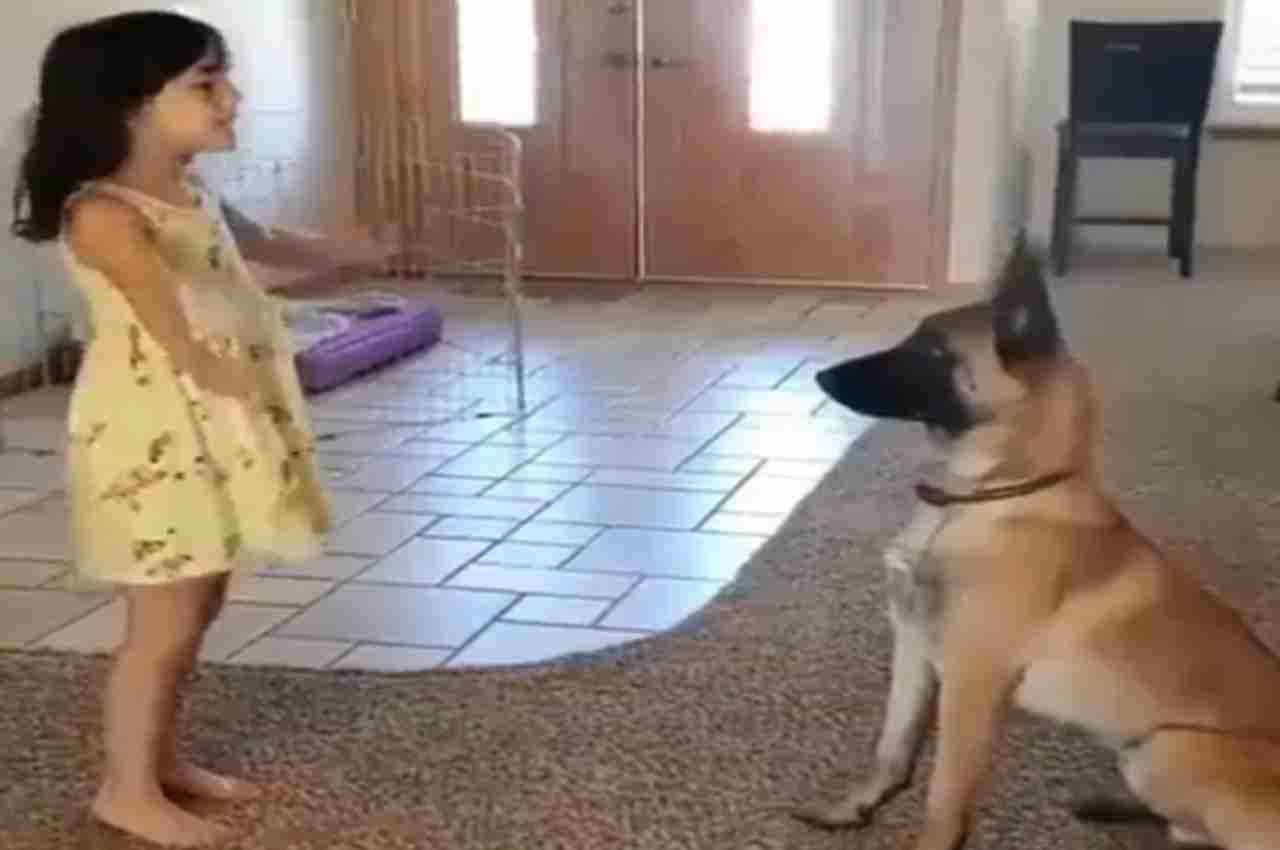 Viral Video: बच्ची ने डॉगी के साथ खेला लुका-छिपी, ये Video आपका दिल जीत लेगा