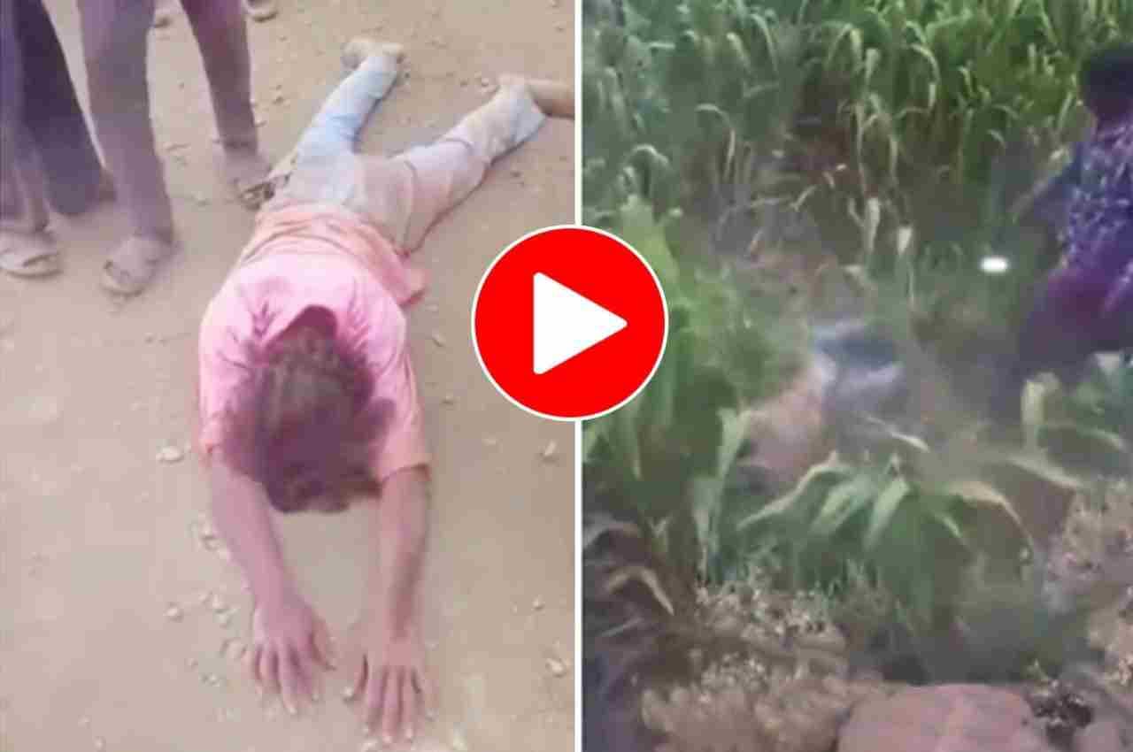 Viral Video: नागिन डांस करते-करते खेतों में जा पहुंचा शख्स, लोगों ने कहा- ‘नागमणि लेके ही मानेगा’