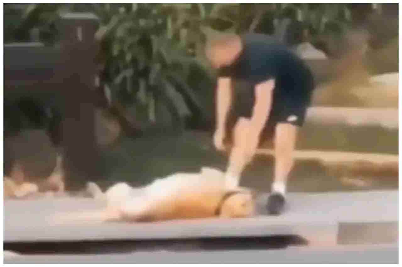 Viral Video: डॉगी को आया मालिक पर गुस्सा, फुटपाथ पर ही करने लगा हरकतें, देखें वीडियो