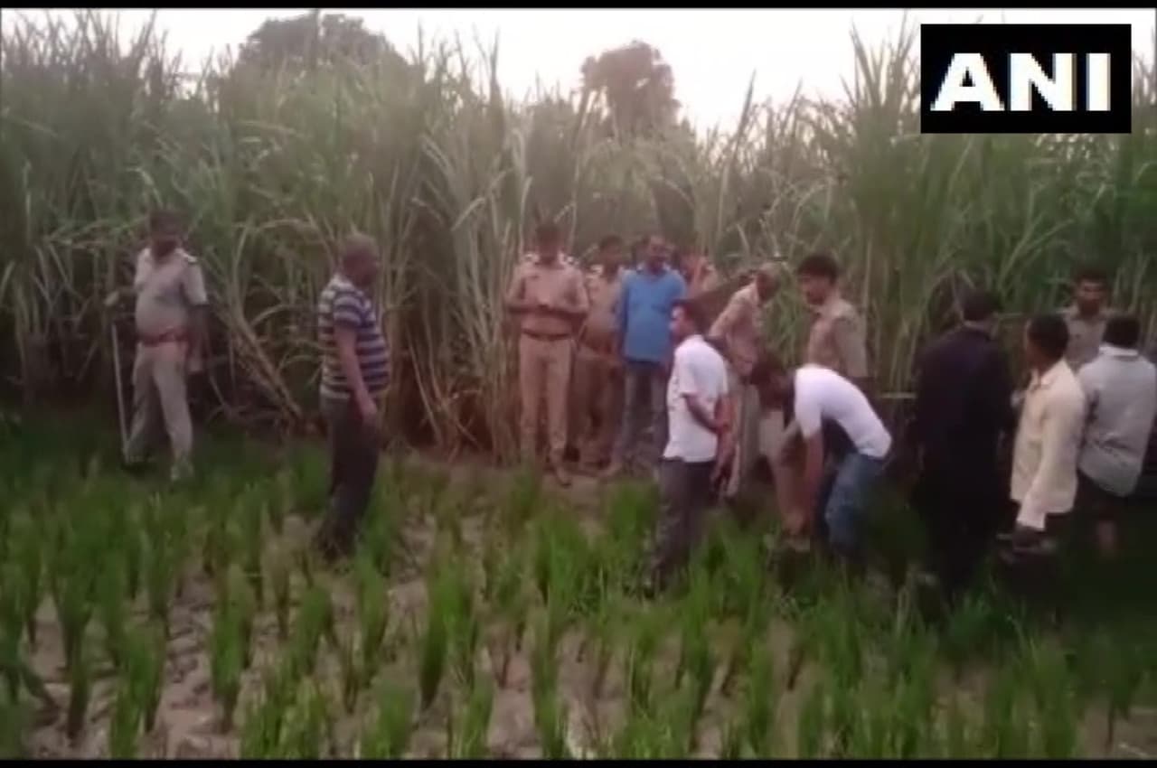 प्रेमी की खेत में मिली लाश तो प्रेमिका का शव कब्र से निकाला, परिवार ने लगाया ऑनर किलिंग का आरोप