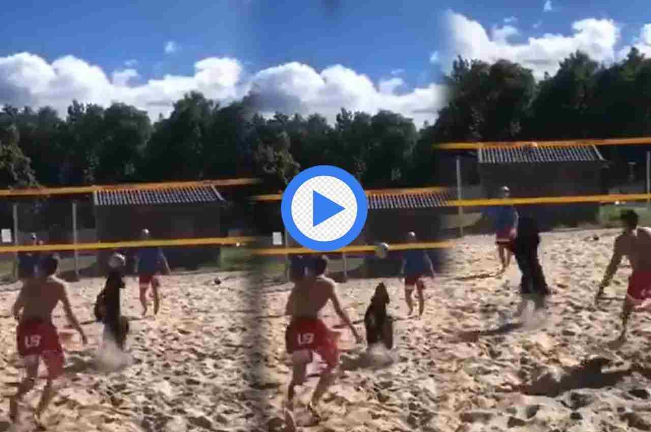 Viral Video: इंसानों के खेल में कुत्ते ने मारी बाजी, देखकर फटी रह जाएगी आंखें