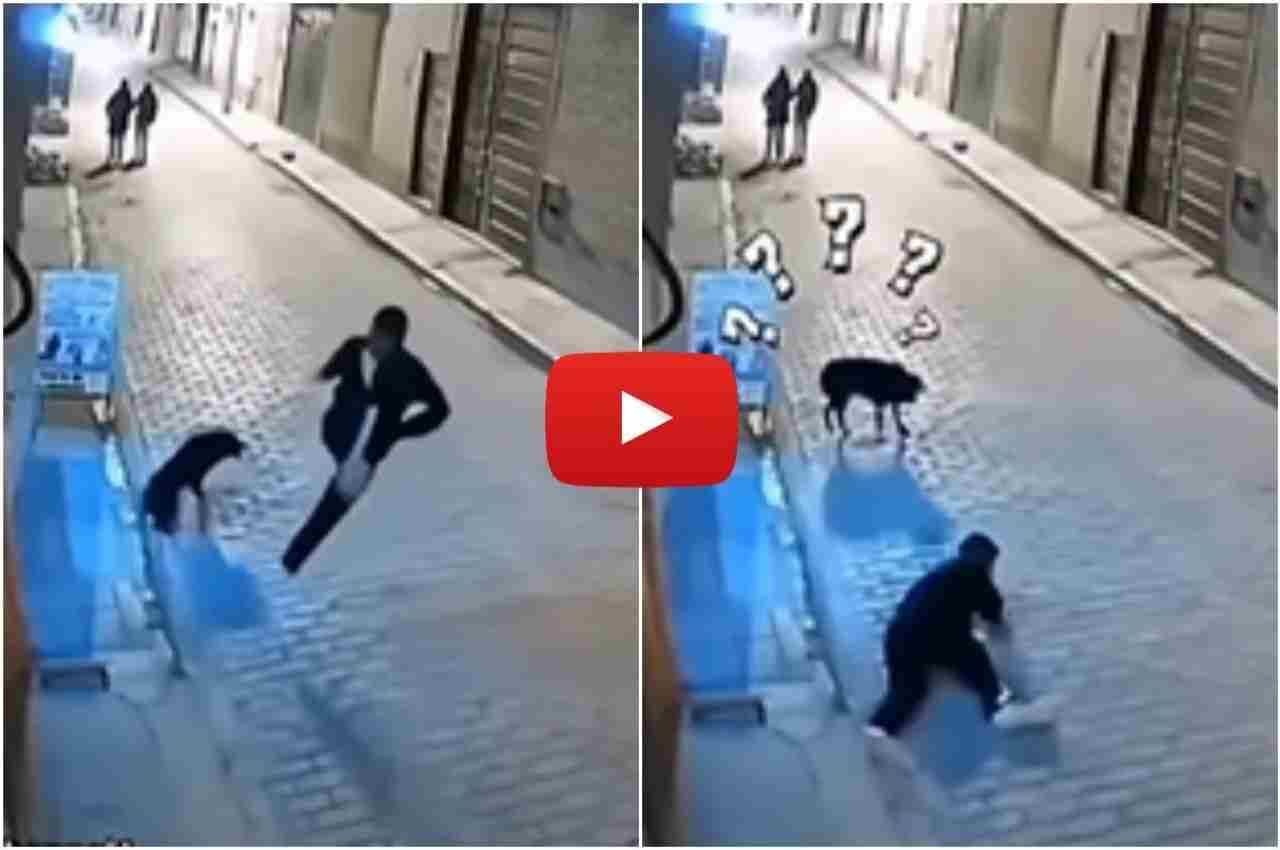 Viral Video: कुत्ते को देख शख्स को सूजी मस्ती, तभी हुआ कुछ ऐसा, देख नहीं रोक पाएंगे हंसी