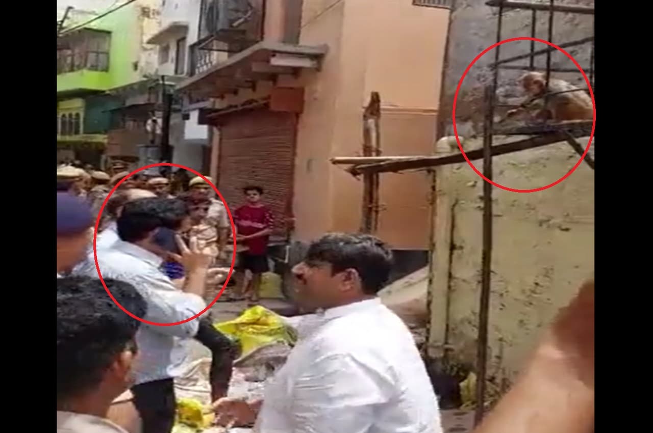 वृंदावन में मथुरा डीएम का चश्मा लेकर भागा बंदर, अखिलेश ने सरकार पर तंज कसते हुए शेयर किया video