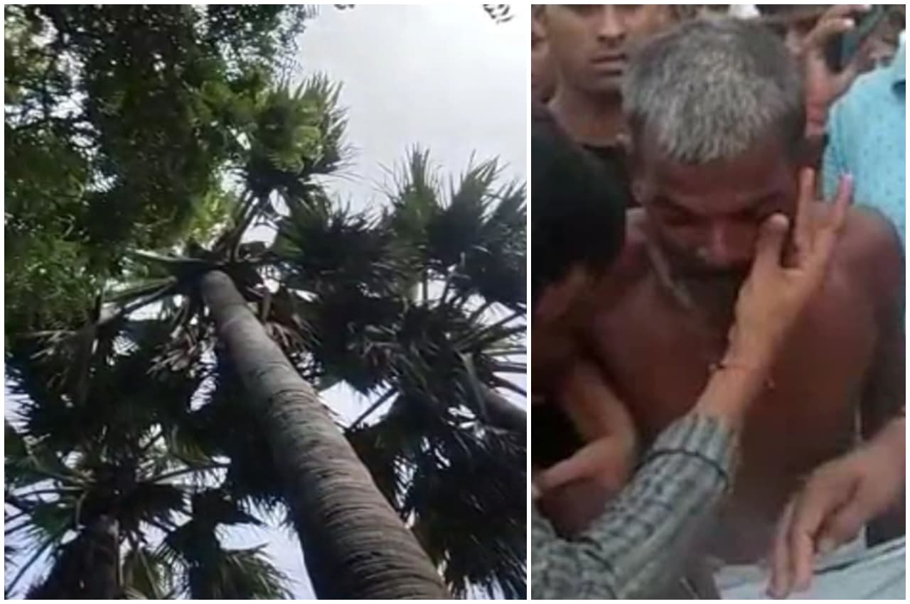 पत्नी की पिटाई से तंग होकर 32 दिन तक बैठा रहा 100 फीट ऊंचे पेड़ पर, सादा वर्दी में पुलिस ने ऐसे किया रेस्क्यू