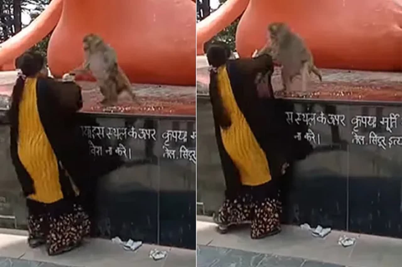 Viral Video: महिला और बंदर की चश्मे को लेकर हो गई खतरनाक लड़ाई, एक दूसरे पर किया जमकर हमला