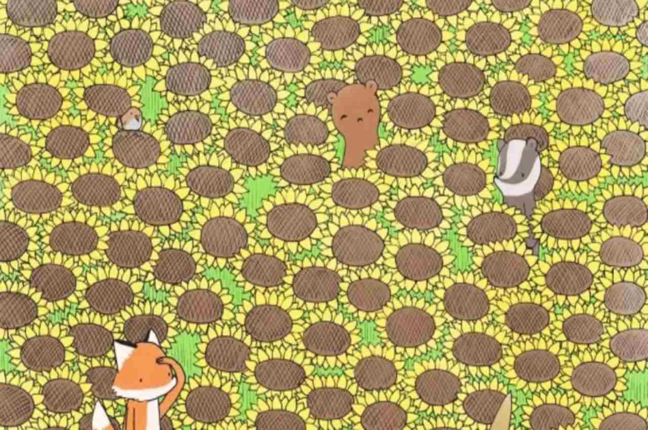 Optical Illusion: तस्वीर में ठीक नजर के सामने है तितली, आपको दिखी क्या?