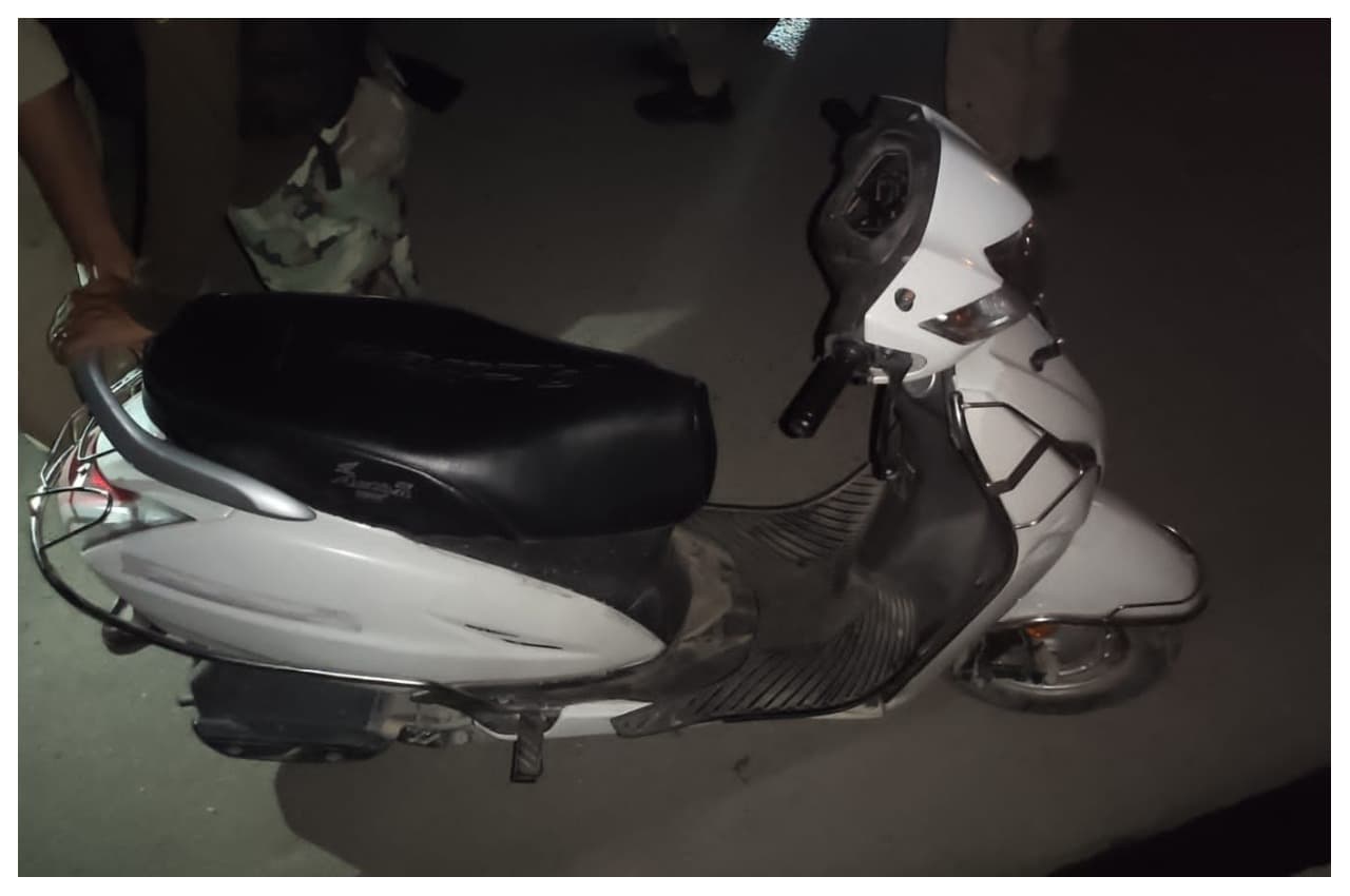 scoter