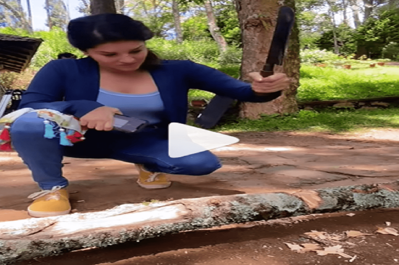 Sunny Leone को आया गुस्सा, कटार लेकर पेड़ पर करने लगीं वार, देखें वीडियो