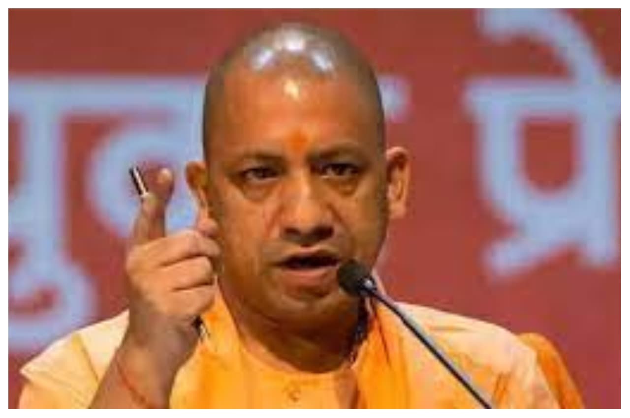 yogi