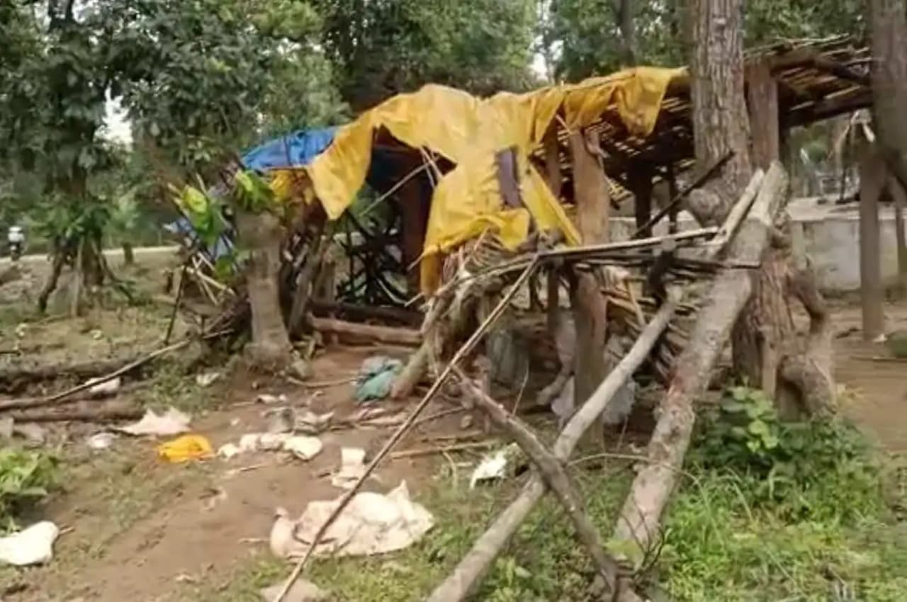 Chhattisgarh में नहीं थम रहा हाथियों का आतंक, बुजुर्ग महिला समेत 2 लोगों की गई जान