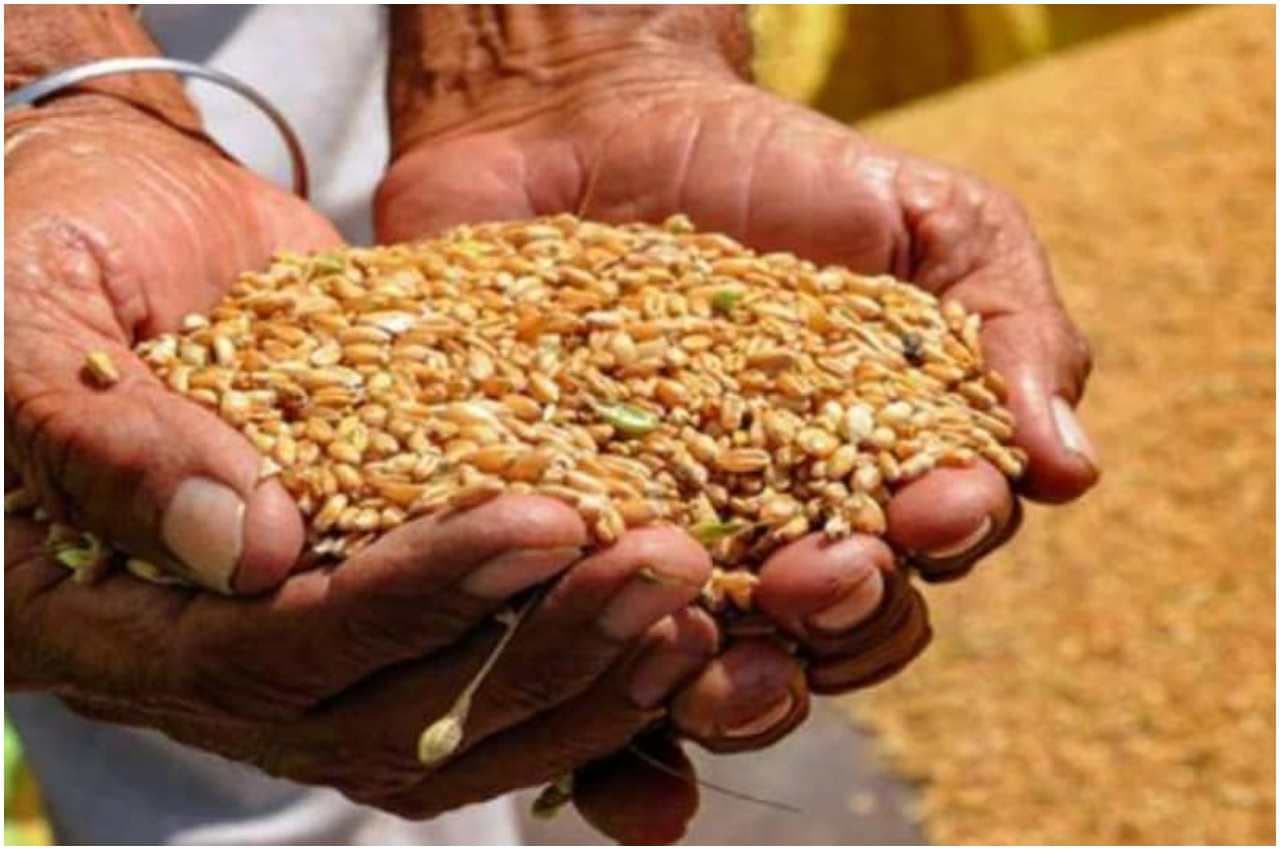 गरीब कल्याण अन्न योजना 3 महीने के लिए बढ़ाया गया, कैबिनेट ने दी मंजूरी