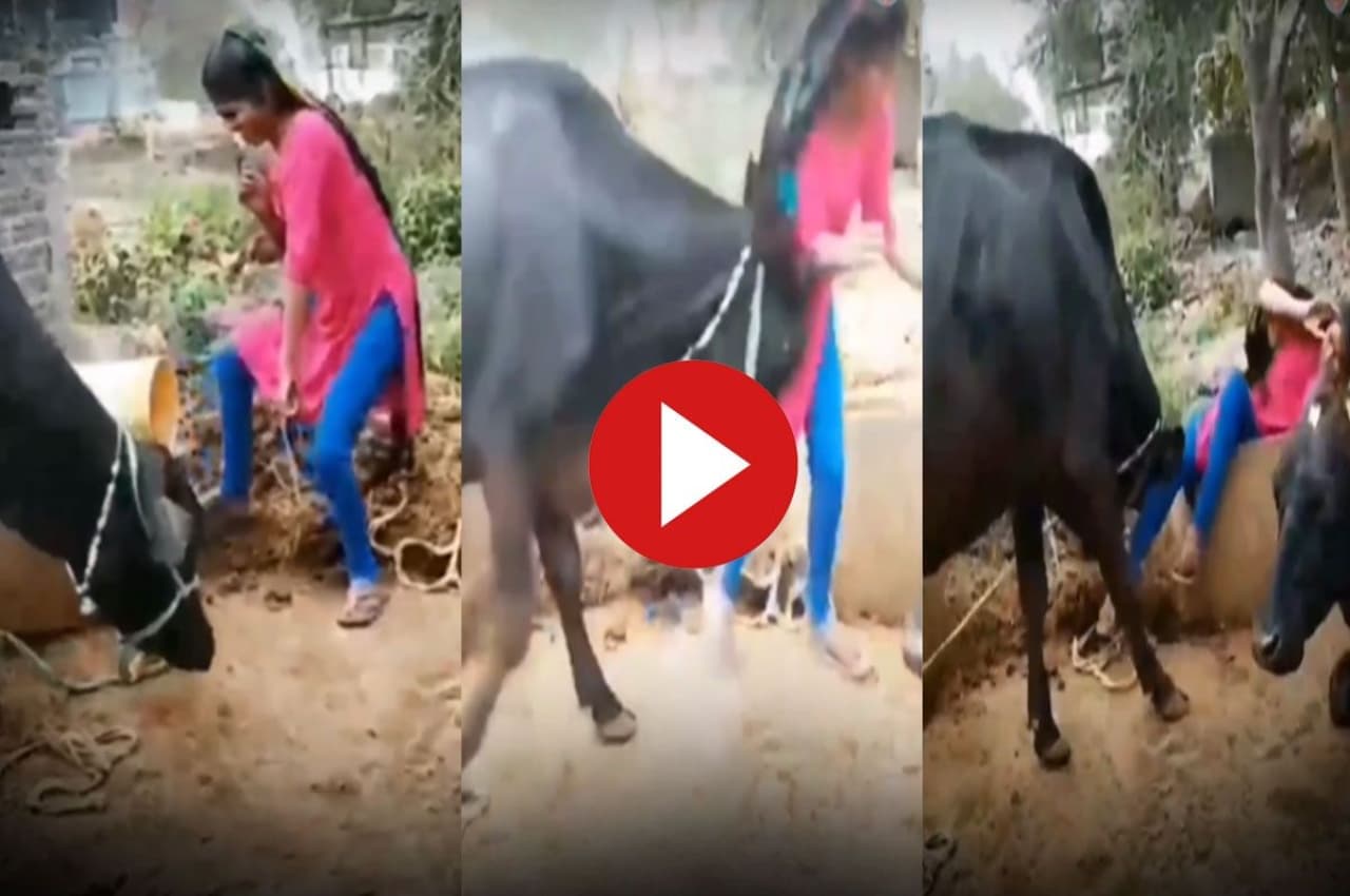 Viral: भैंस के सामने मदमस्त होकर लड़की कर रही थी डांस, फिर जो हुआ उसे देख चौंक जाएंगे