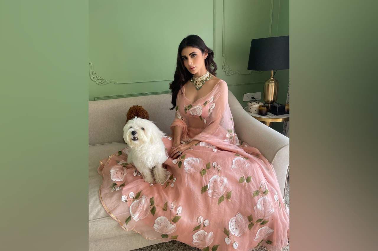 लहंगे में दिखा Mouni Roy का खूबसूरत अवतार, दिलकश अदाओं से फैंस हुए घायल
