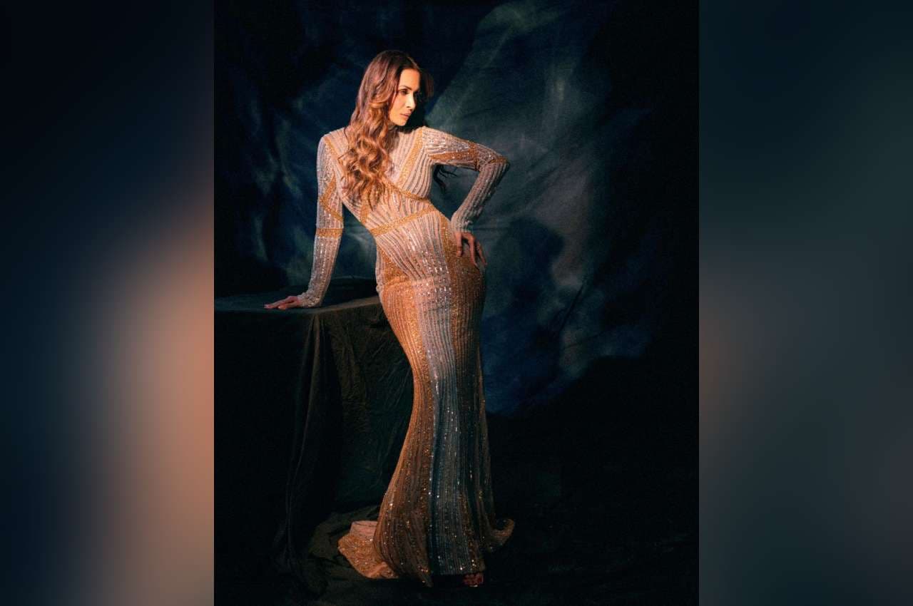 Malaika Arora Photos: मलाइका अरोड़ा का दिखा ग्लैमरस अंदाज, शिमरी गाउन में आईं नजर