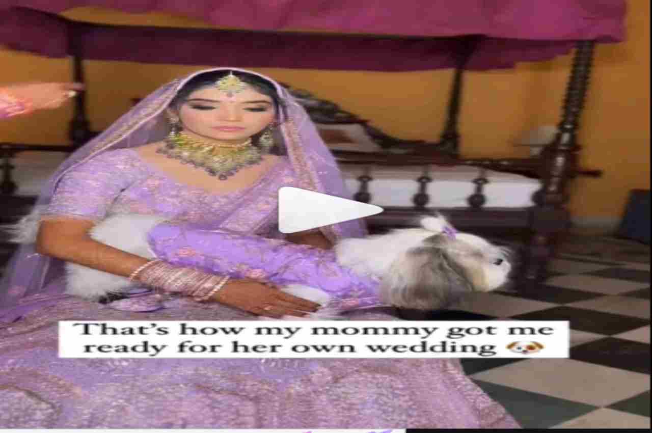 Viral Video: शादी में दुल्हन ने डॉगी को पहनाया मैचिंग आउटफिट, वीडियो देख यूजर्स लुटा रहे प्यार