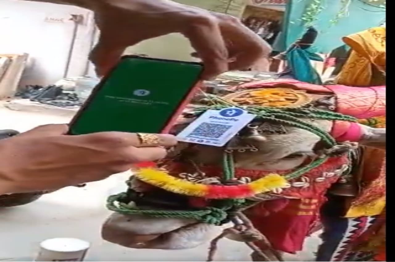 चंदा लेने के लिए शख्स ने गौमता को बना डाला डिजिटल, देखें 