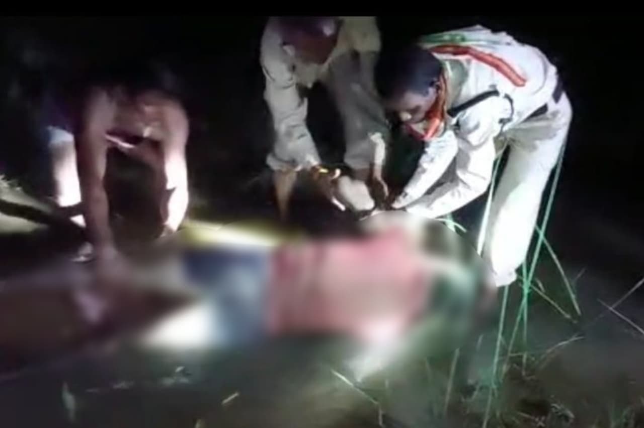 MP: नहीं थम रहा गजराज का आतंक, हाथियों के दल ने ग्रामीण को कुचला, अब तक 6 से अधिक लोगों की मौत