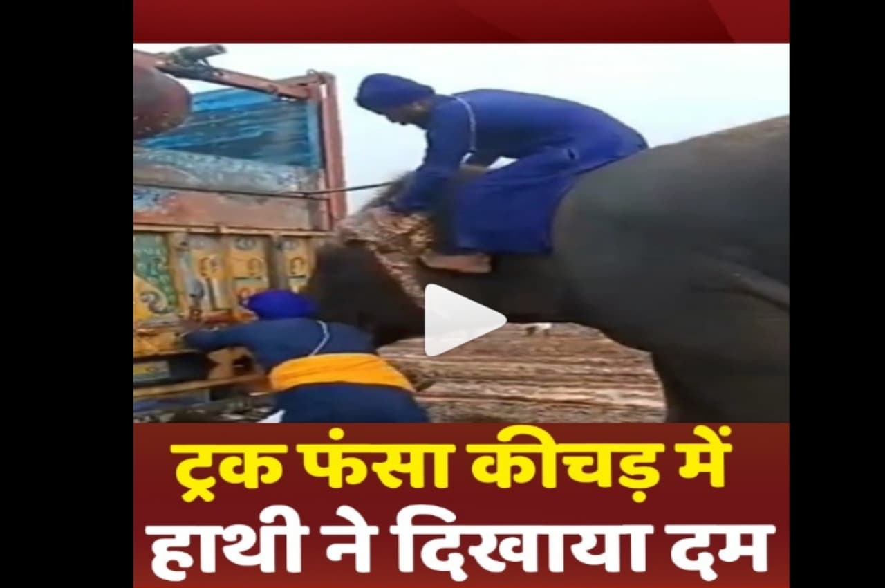 हाथी मेरे साथी: ट्रक फंसा कीचड़ में तो गजराज ने दिखाया दम, देखें Viral Video