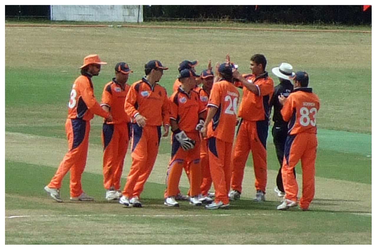 T20 World Cup: नीदरलैंड ने किया टीम का ऐलान, जानें कौन होगा कप्तान