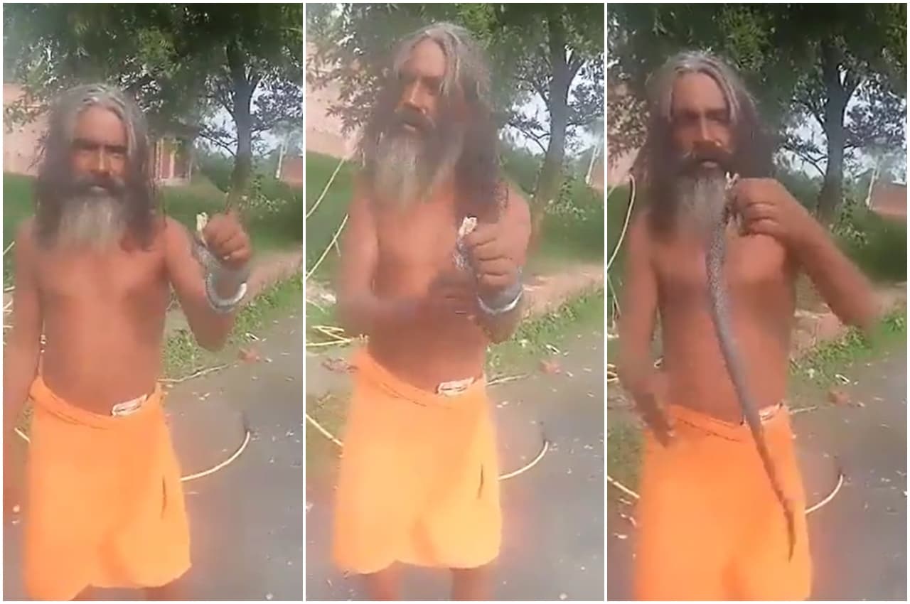 Unnao News: जहरीले सांप के साथ खेलना साधु को पड़ा भारी, पकड़ हुई ढीली और चली गई जान, देखे Video