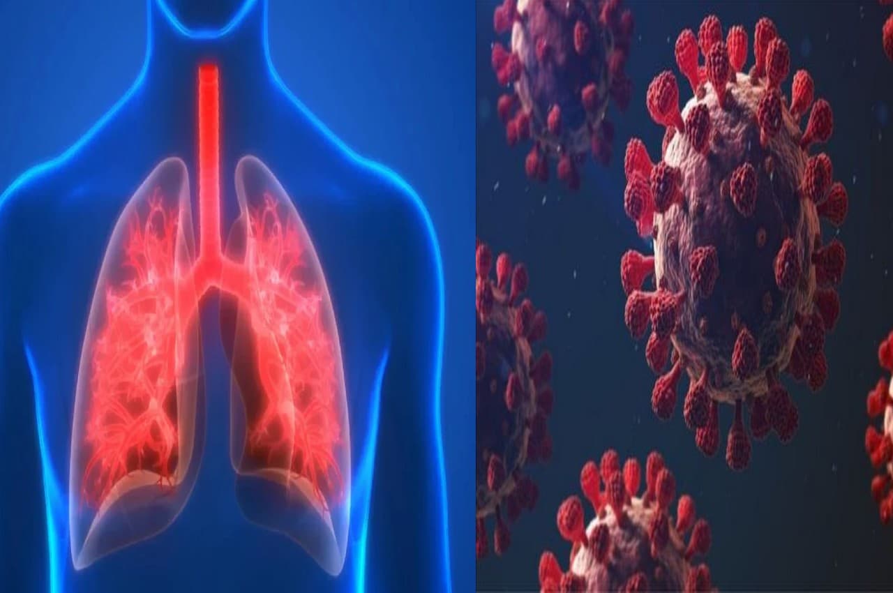 lungs Health Tips: कोविड के बाद फेफड़ों का ऐसे रखें ख्याल, बेहद काम आएंगे ये 7 टिप्स