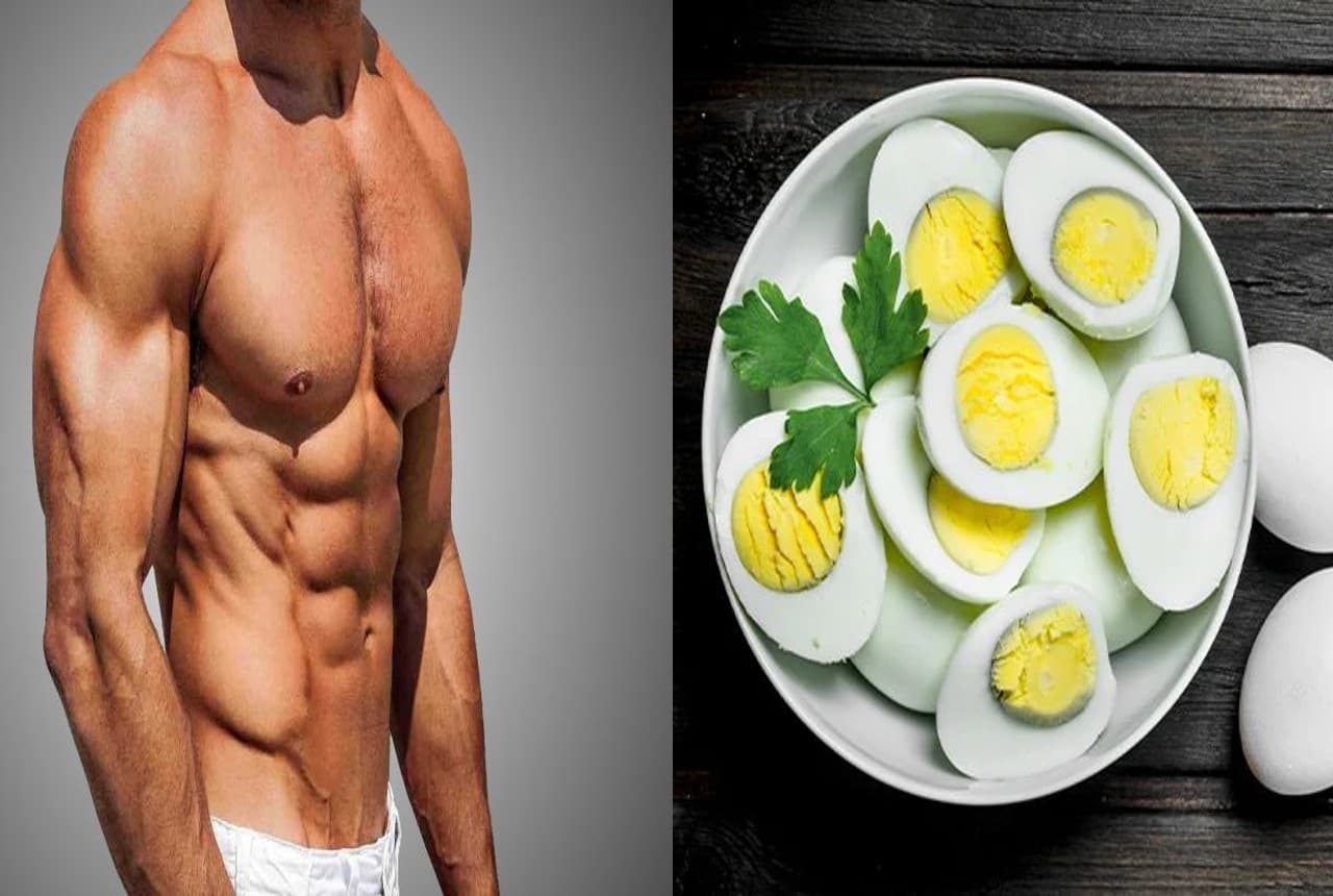 Egg Benefits: रोज इस वक्त खाना शुरू करें 1 अंडा, दूर भाग जाएंगी ये बीमारियां, जानें जबरदस्त फायदे