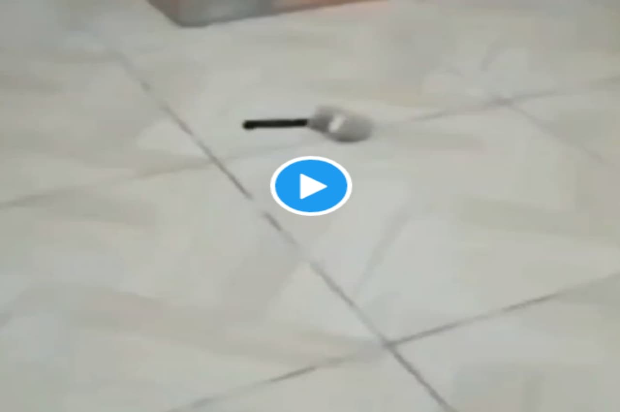 Viral Video: चुहिया की हत्या का बदला लेने चाकू लेकर निकला चूहा, देखने वाले भी रह गए हैरान