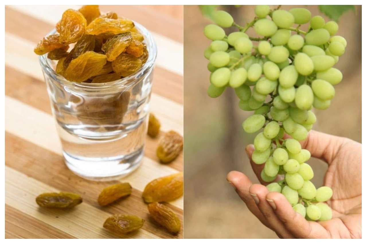 किशमिश या अंगूर कौन है बेस्ट? जानें एक्सपर्ट का क्या है कहना