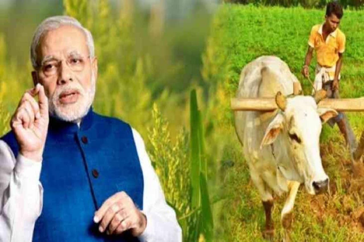 जानिए मोदी सरकार की गेम चेंजिंग PM-PRANAM योजना के बारे में सब कुछ, किसानों के लिए बड़ा बदलाव!