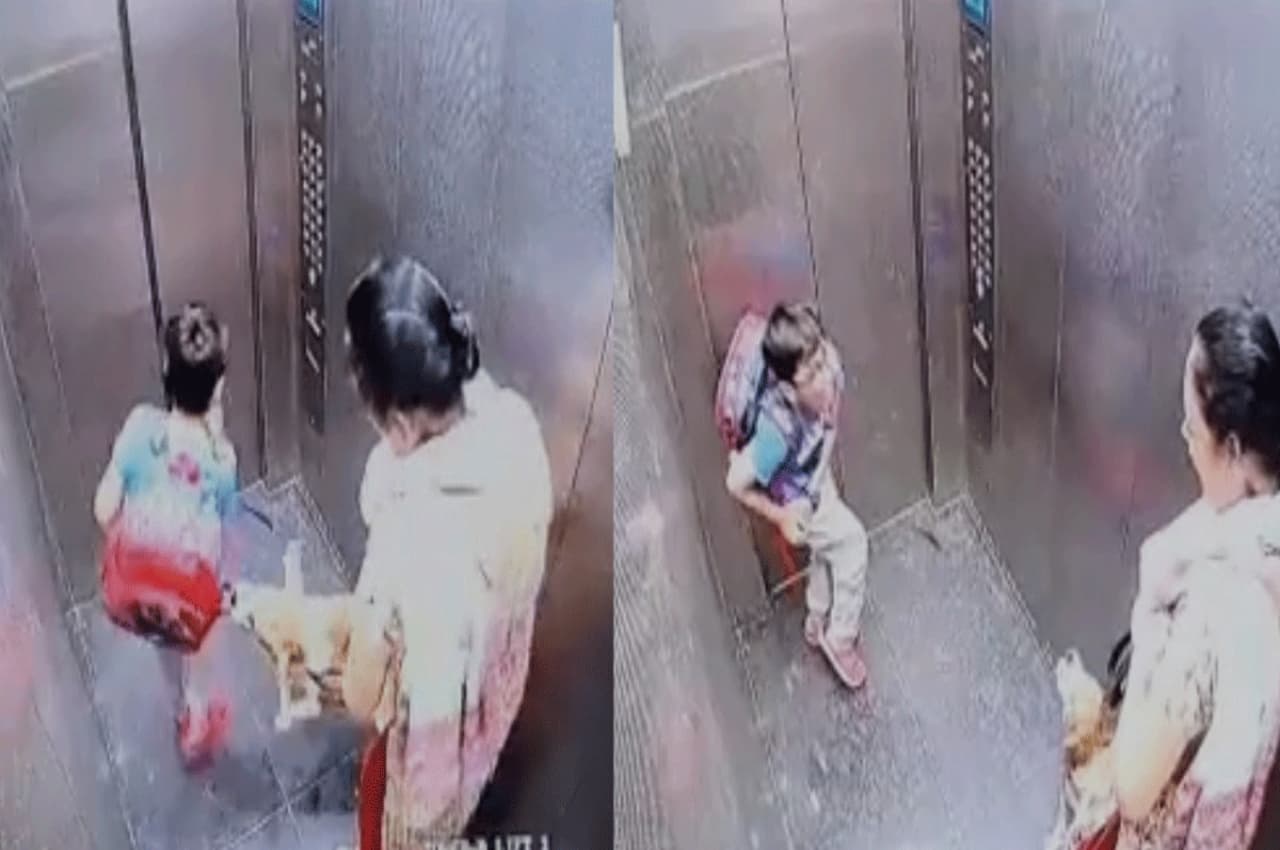 Viral video: लिफ्ट में कुत्ते ने बच्चे को काटा, झपट्टा मारता रहा और मालकिन खड़ी देखती रही