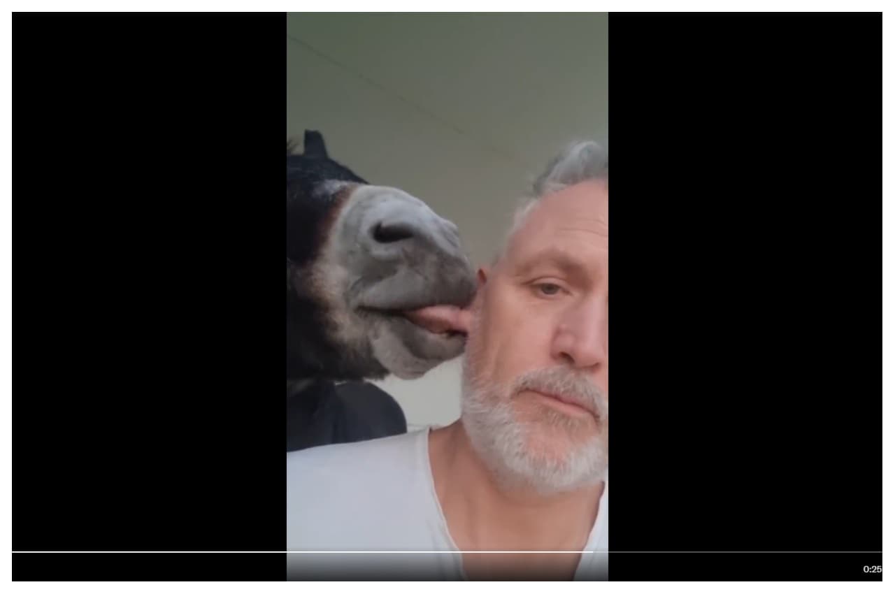 Viral Video: सेल्फी बिगाड़ी तो Pony Horse ने चबा लिया मालिक का कान