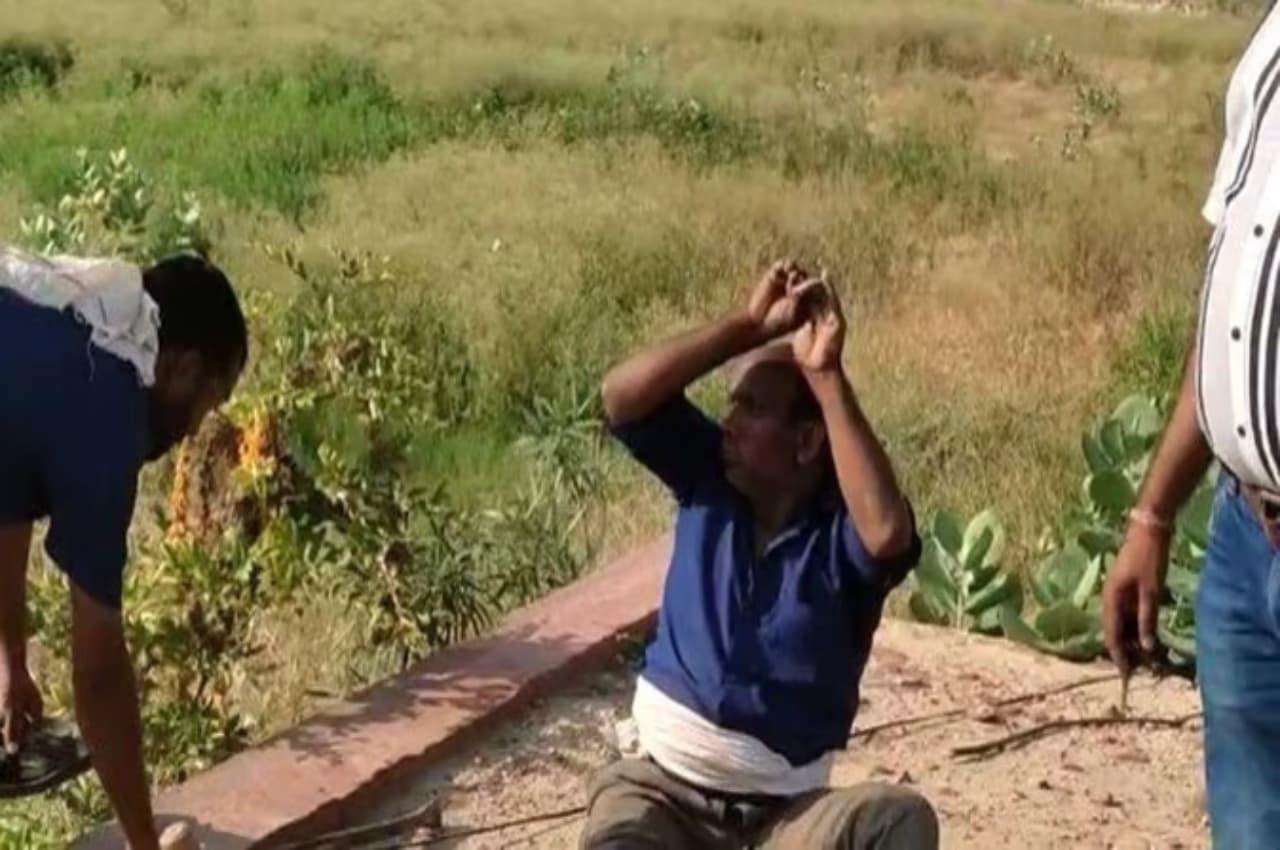 Mathura: जब नगर निगम का कर्मचारी बन गया नाग, करने लगा डांस, लोग देखते रह गए, Video