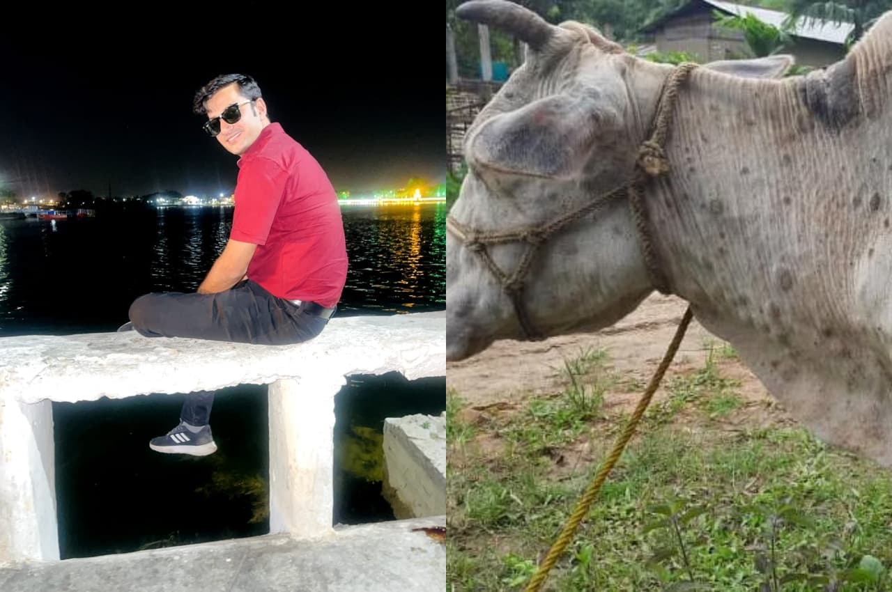 युवा उद्धमी हरी सोनी की शानदार पहल, नवरात्रि में लोगों से की गायों को बचाने की अपील