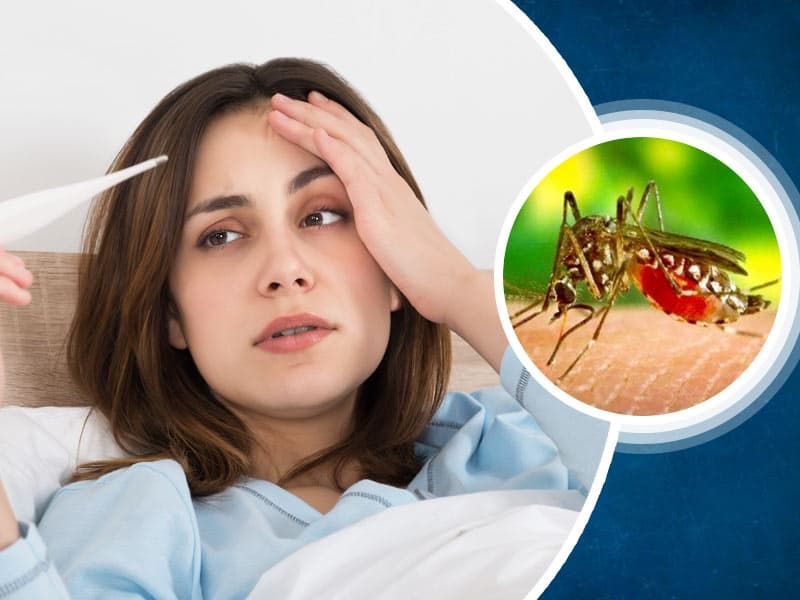 рдбреЗрдВрдЧреВ Dengue